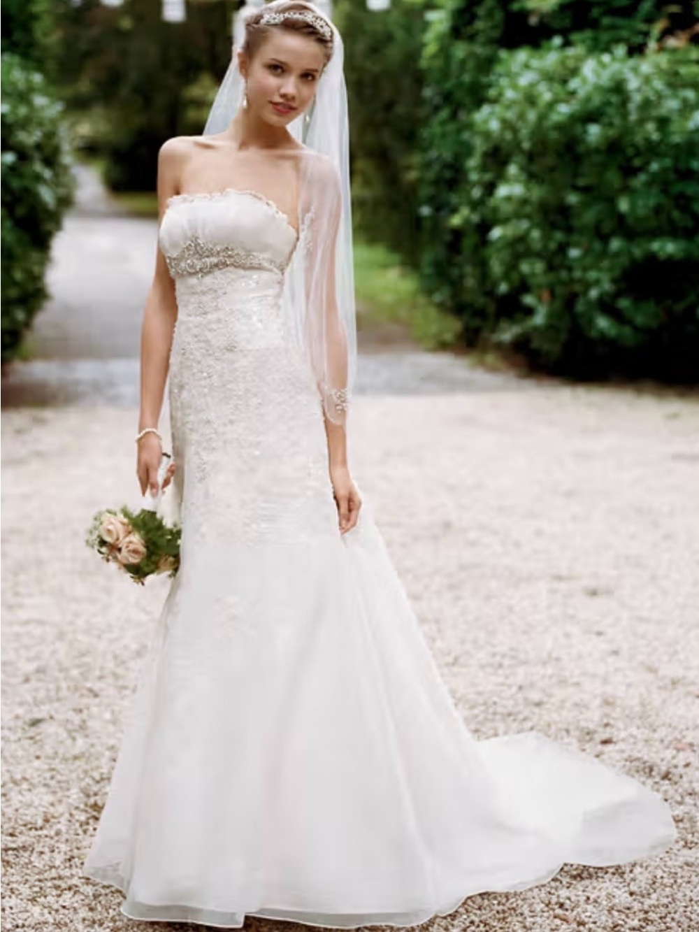 David’s Bridal Organza Trumpet Gown with Embellished Lace